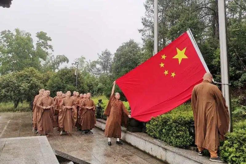 破碎的动物图形