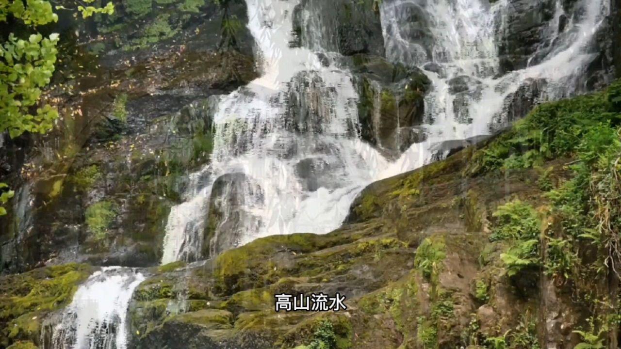 牛仔复仇记